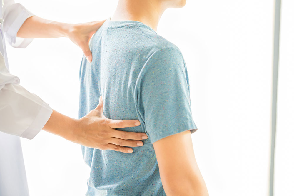 Spine