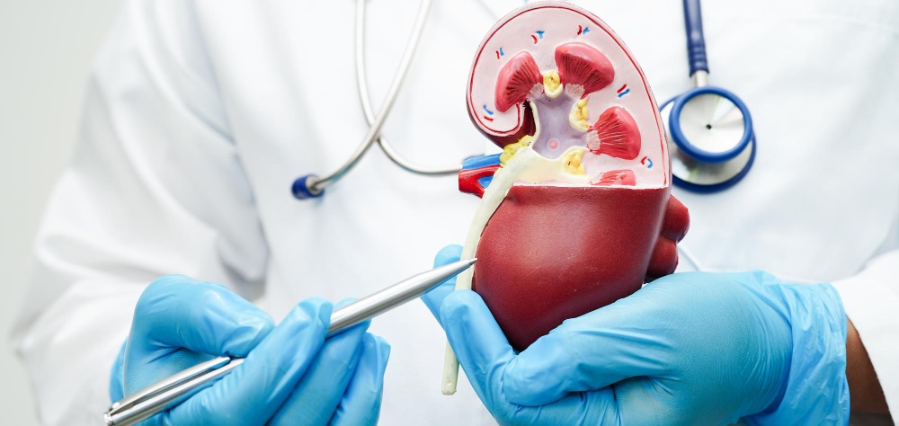 urology
