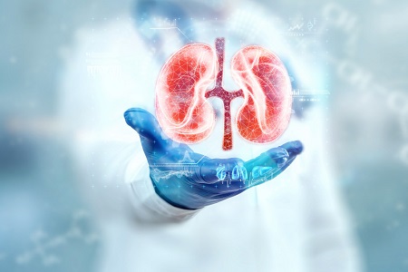 Chronic Kidney Disease – What You Need to Know
