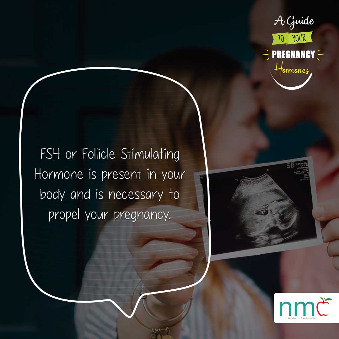 A Guide to your Pregnancy Hormones