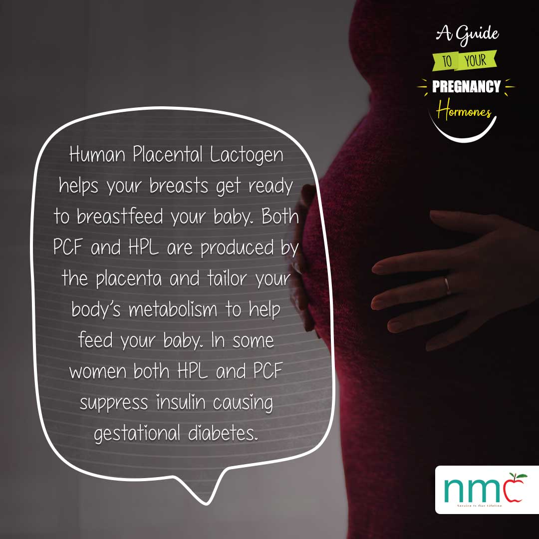 A Guide to your Pregnancy Hormones