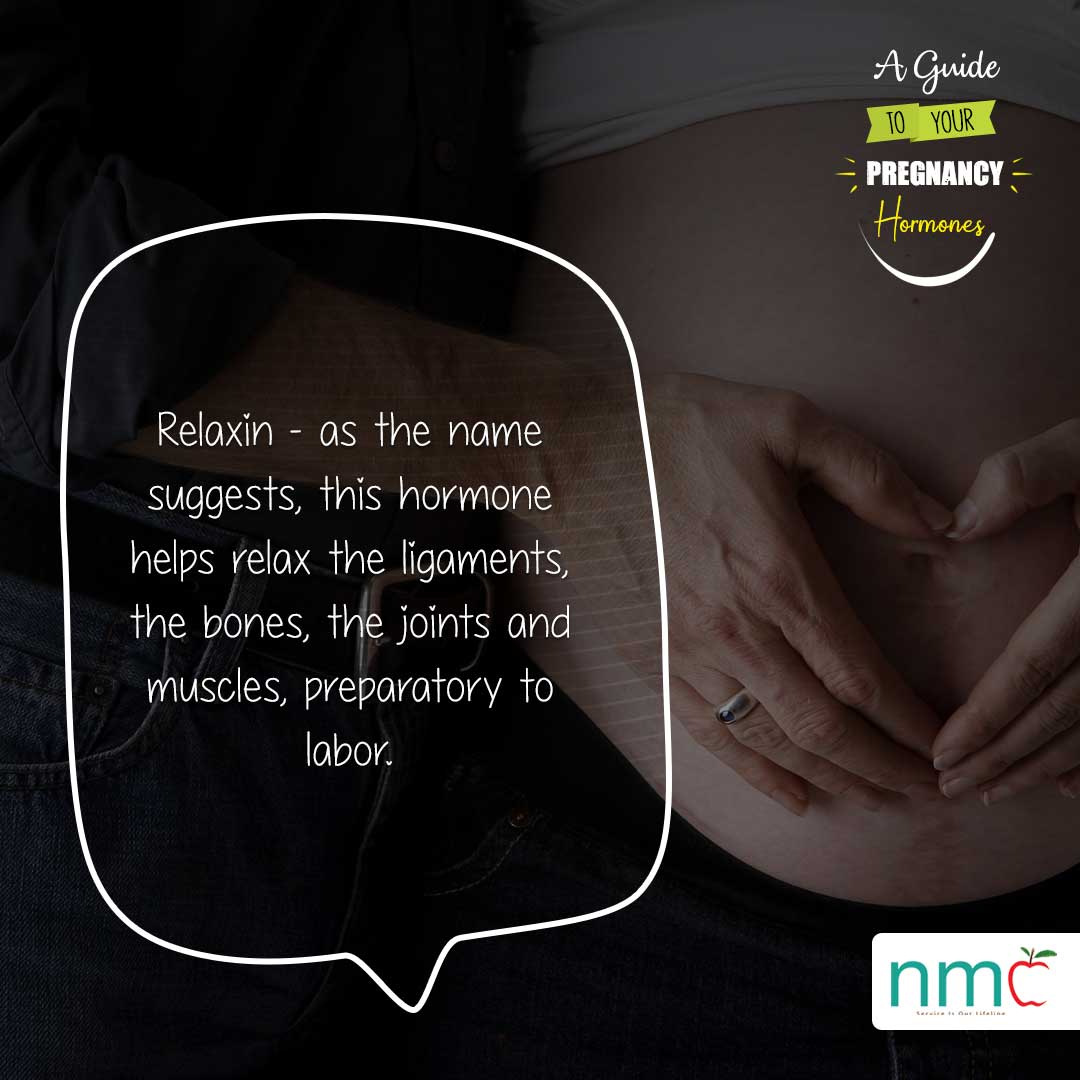 A Guide to your Pregnancy Hormones